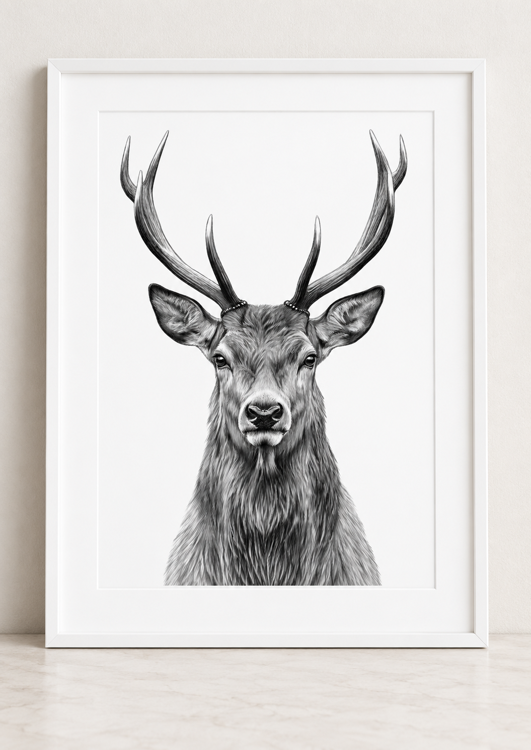 Majestic stag portrait print in a white frame with white mount