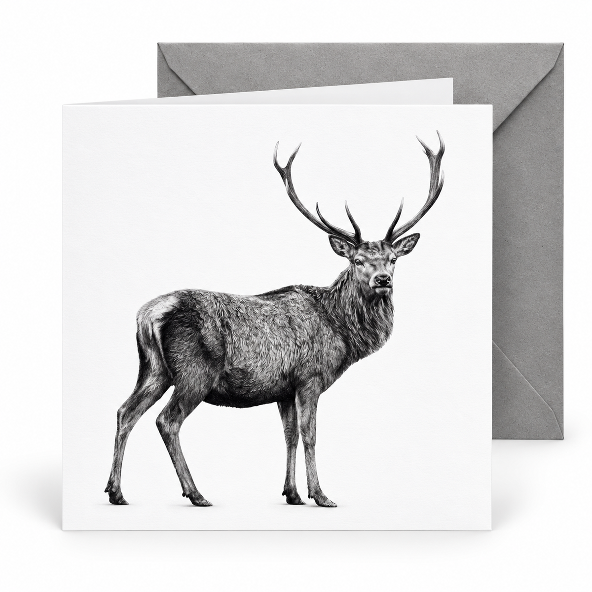 Standing Stag Greeting Card — grey-envelope mockup