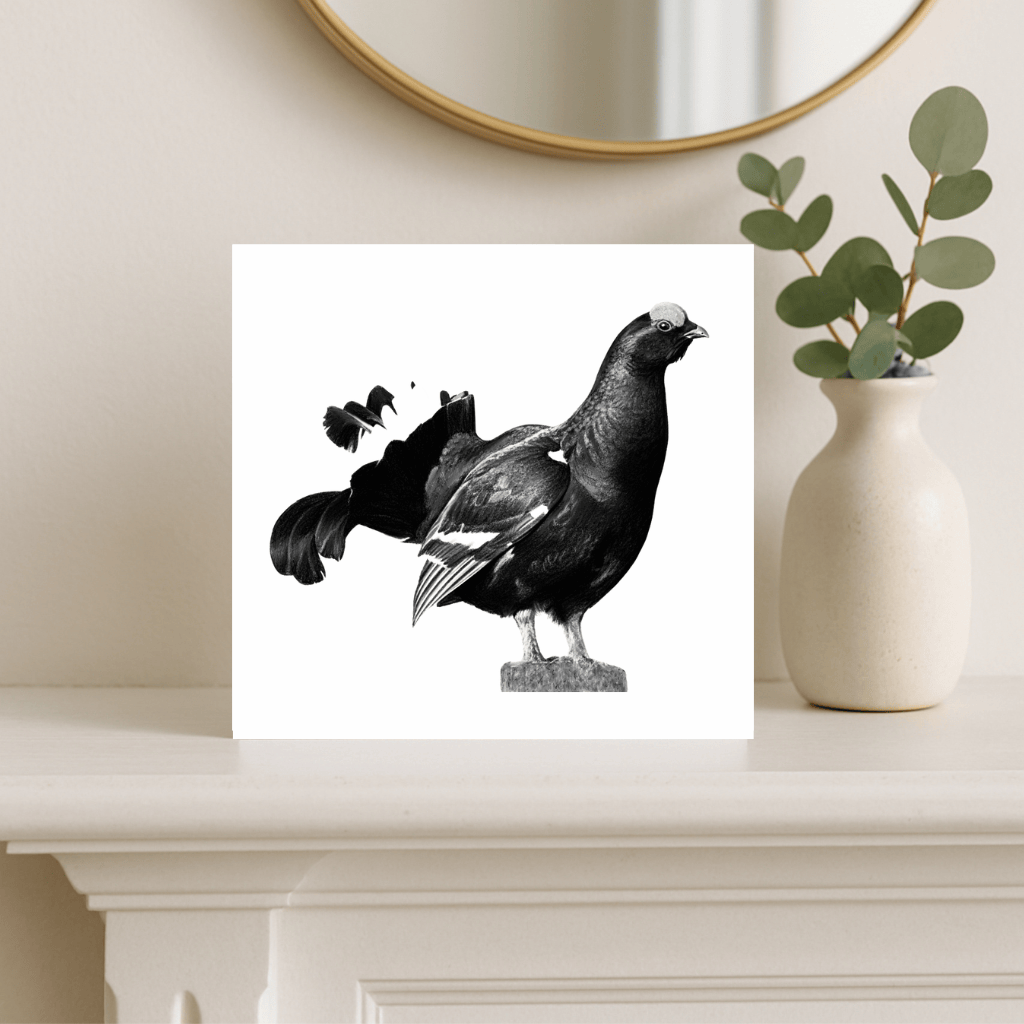 Black Grouse – British Wildlife Greeting Card