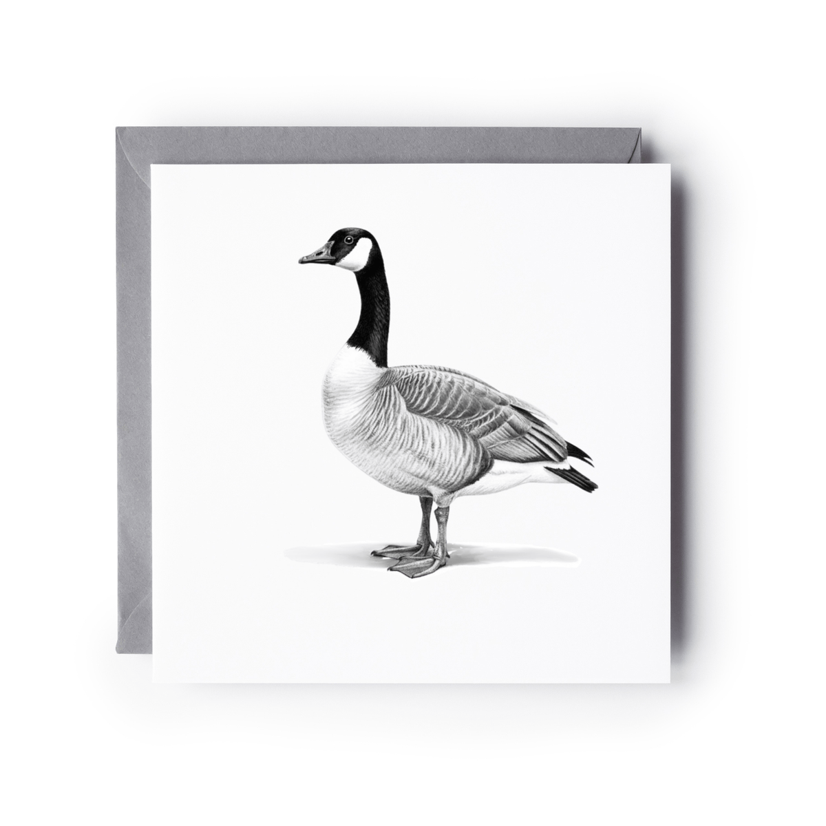 Canadian Goose Greeting Card
