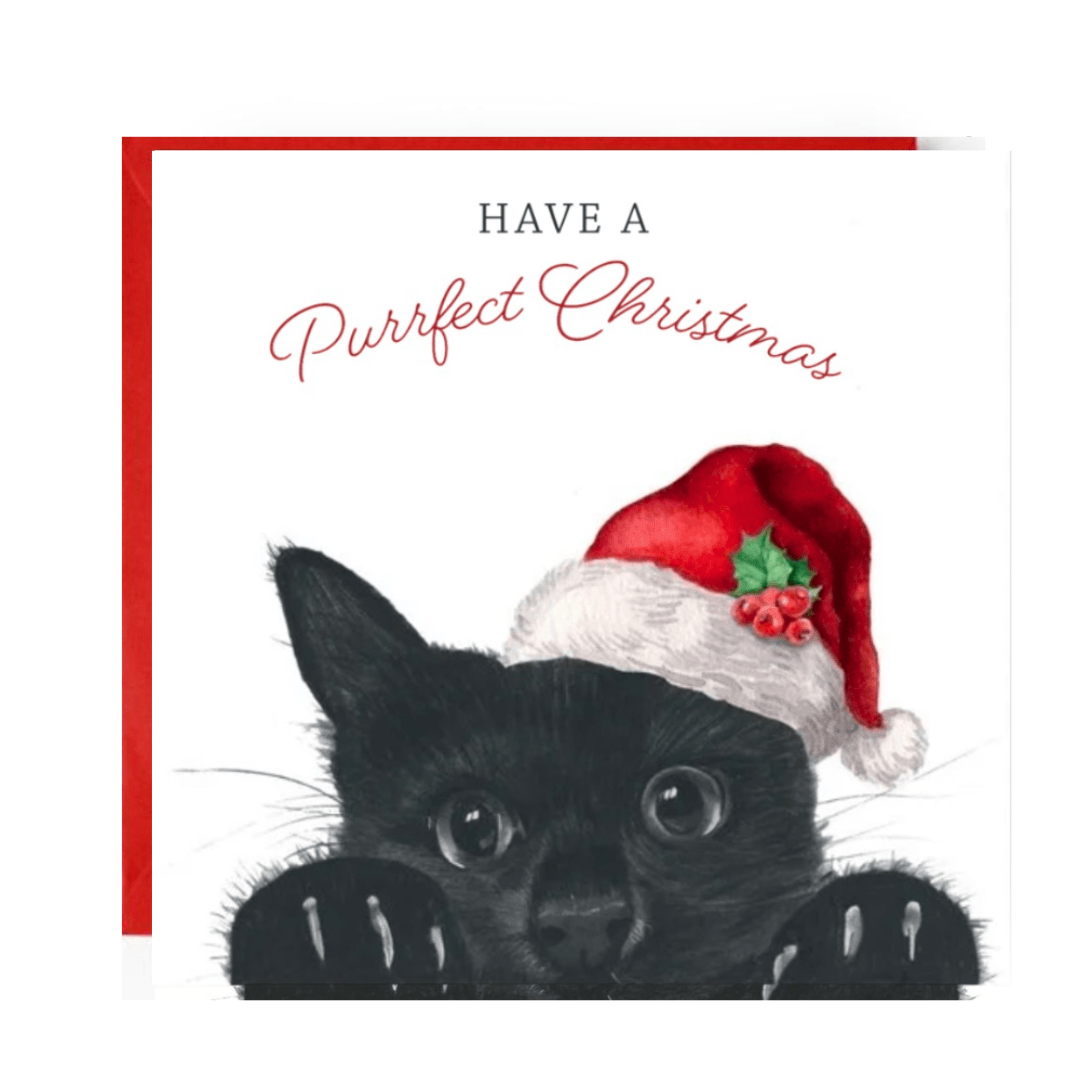 Have A Purrfect Christmas – Festive Cat Greeting Card