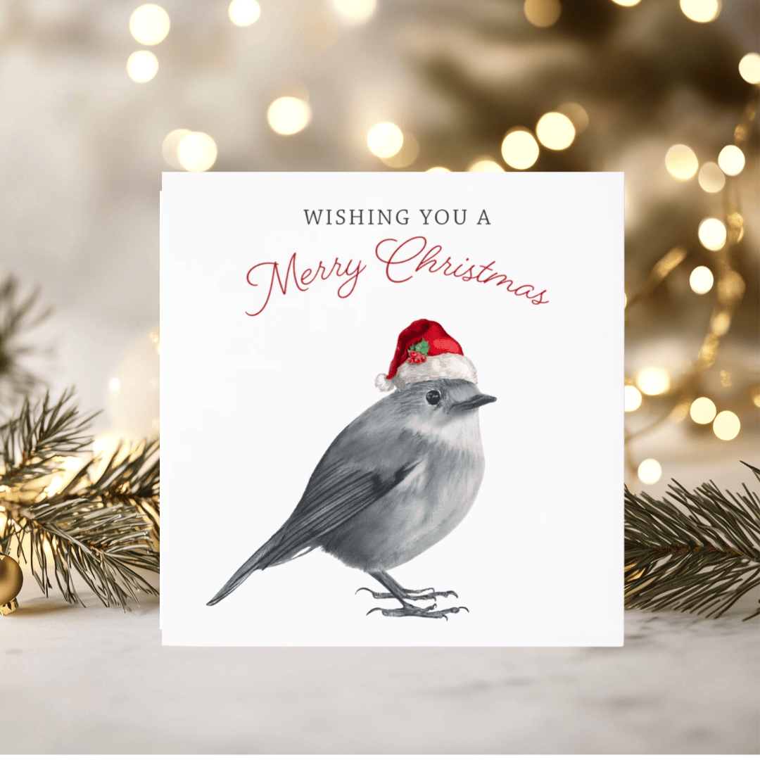 Merry Christmas Robin Red Hat Christmas Card