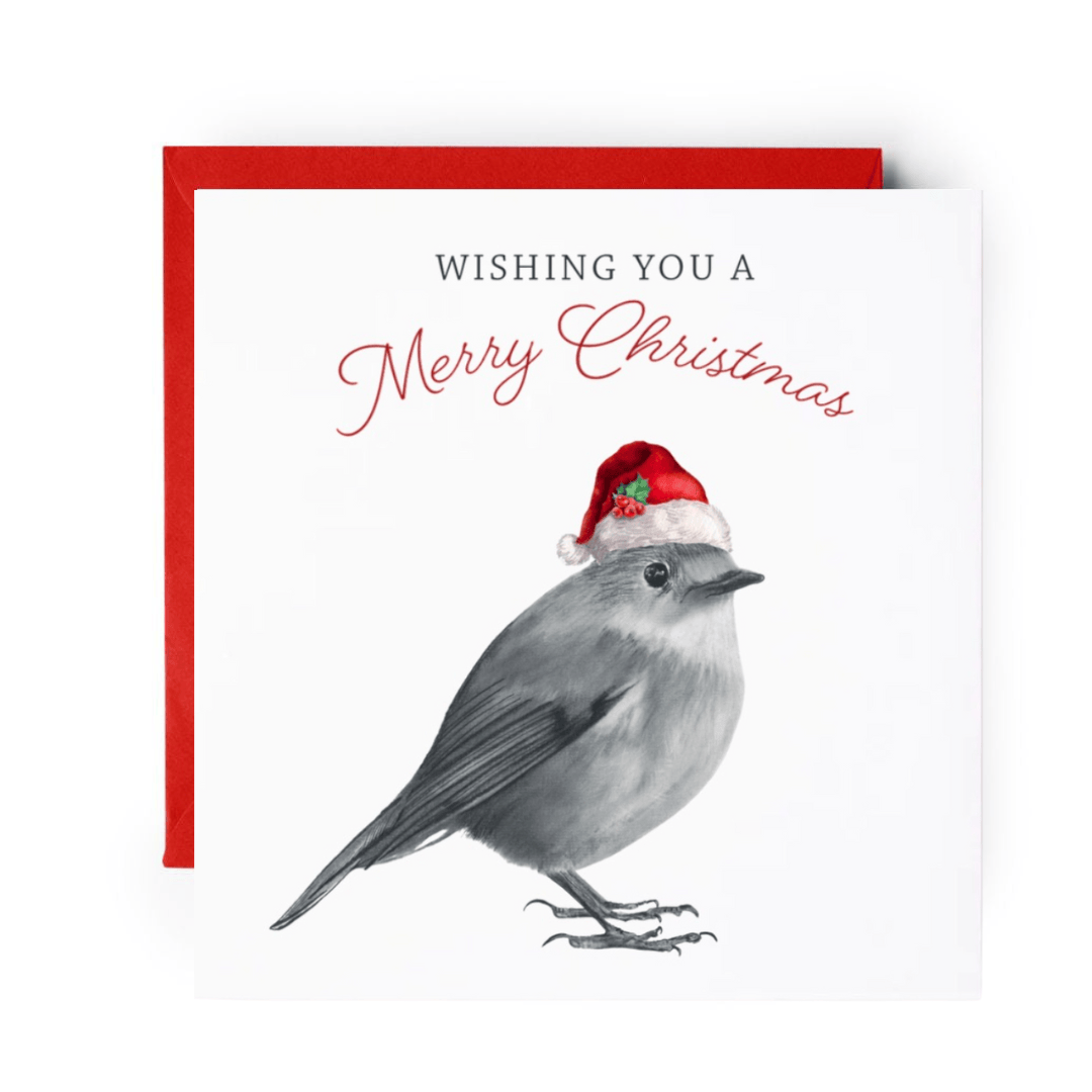 Merry Christmas Robin Red Hat Christmas Card