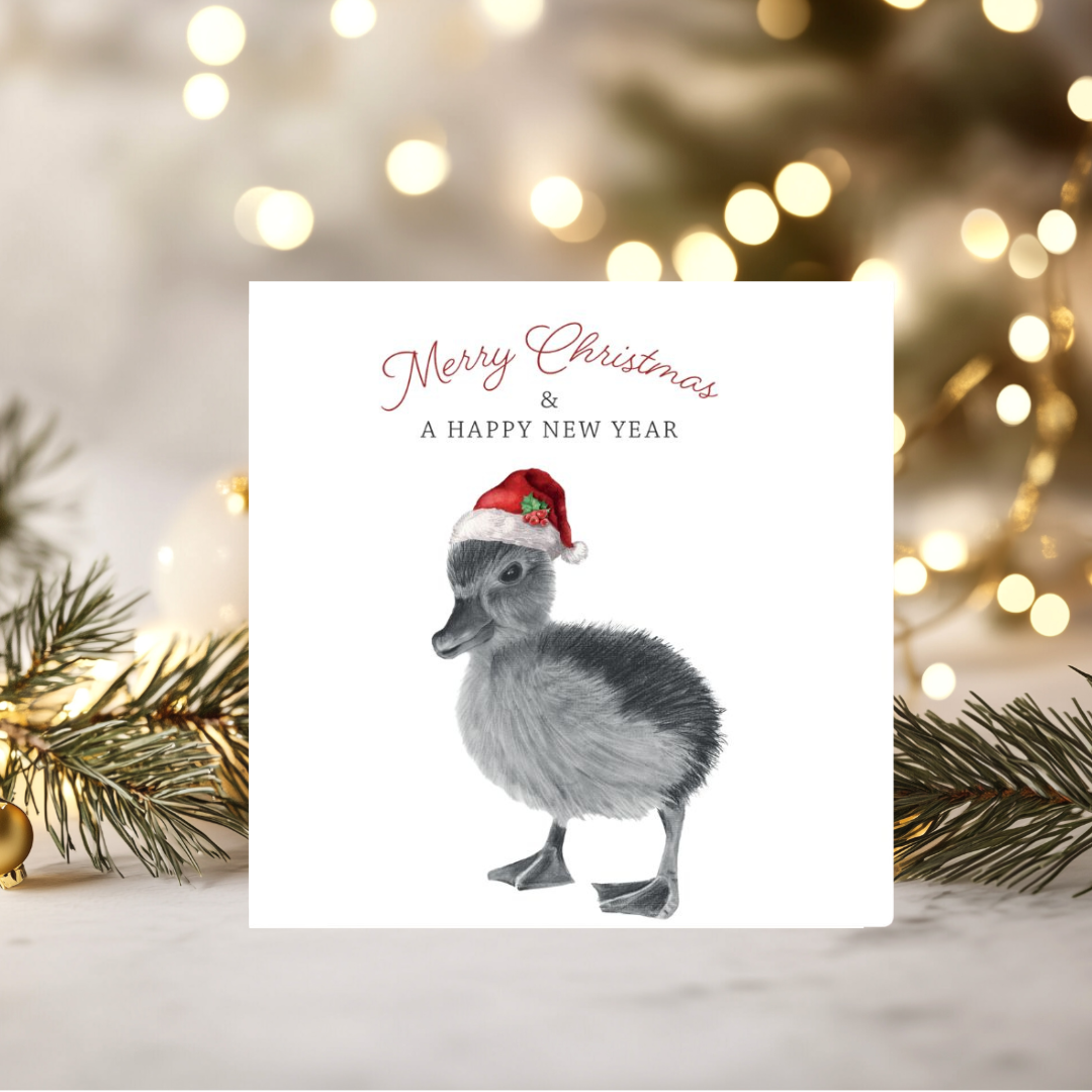 Merry Christmas Duckling Greeting Card