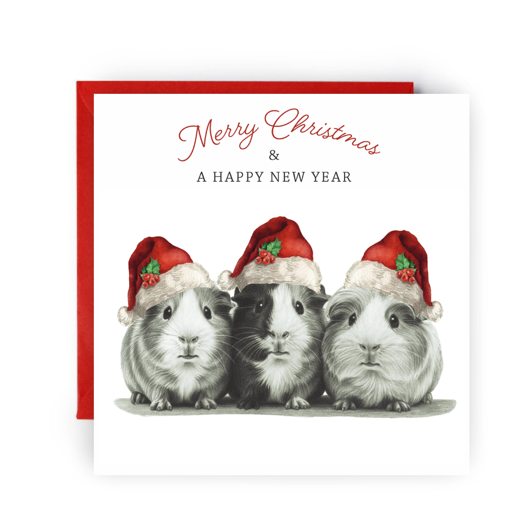 Merry Christmas – Guinea Pigs Hand-Drawn Festive Greeting Card