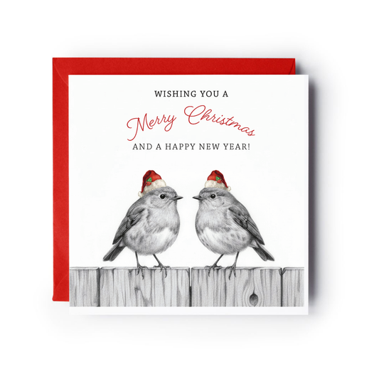 Robin Perch Christmas Card