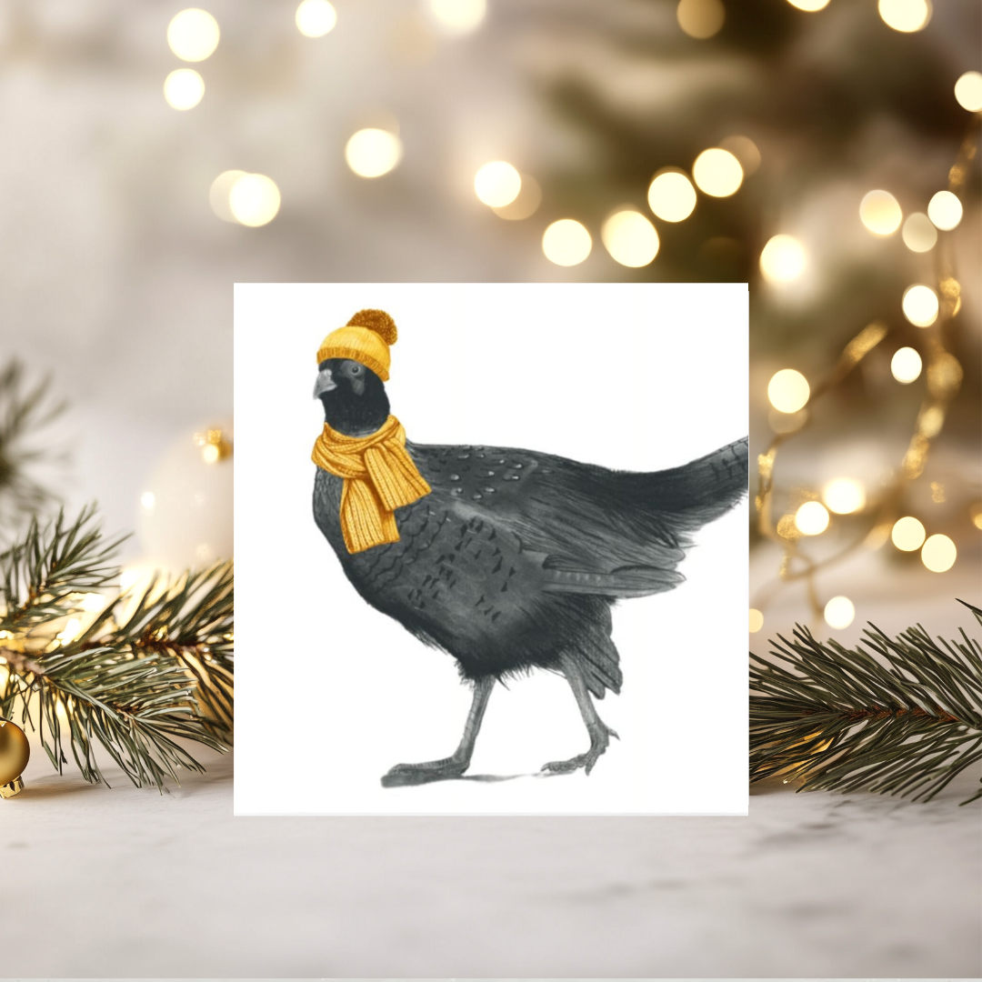 Winter Pheasant Christmas Card – Bold, Bright & Ready for Snow