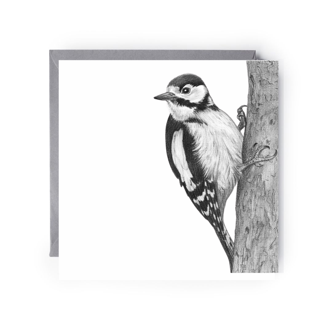 Cervantes the Woodpecker – Hand-Drawn Greeting Card | Striking Wildlife Art