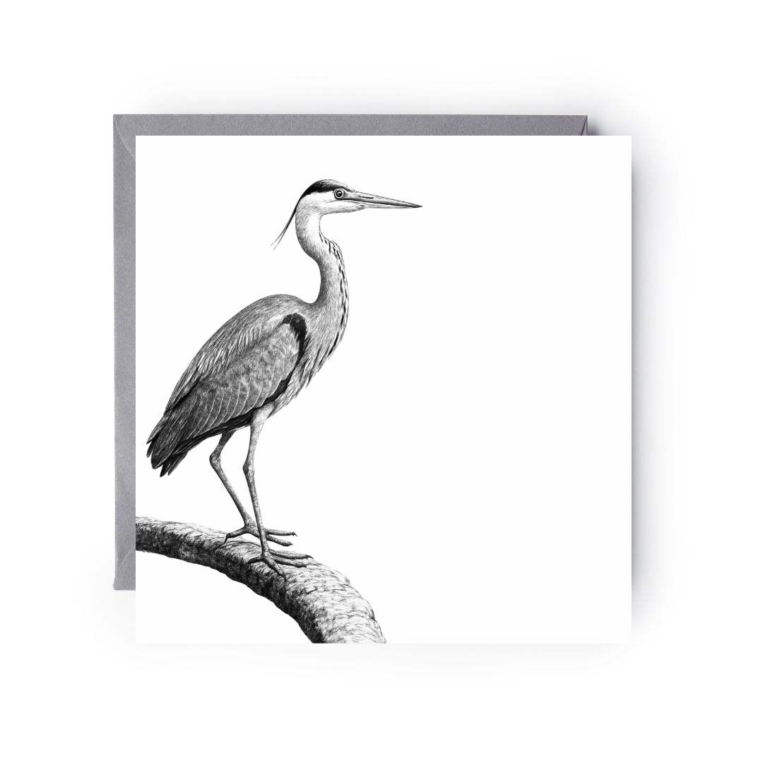 Bosona the Heron – Hand-Drawn Greeting Card | Elegant Wildlife Art