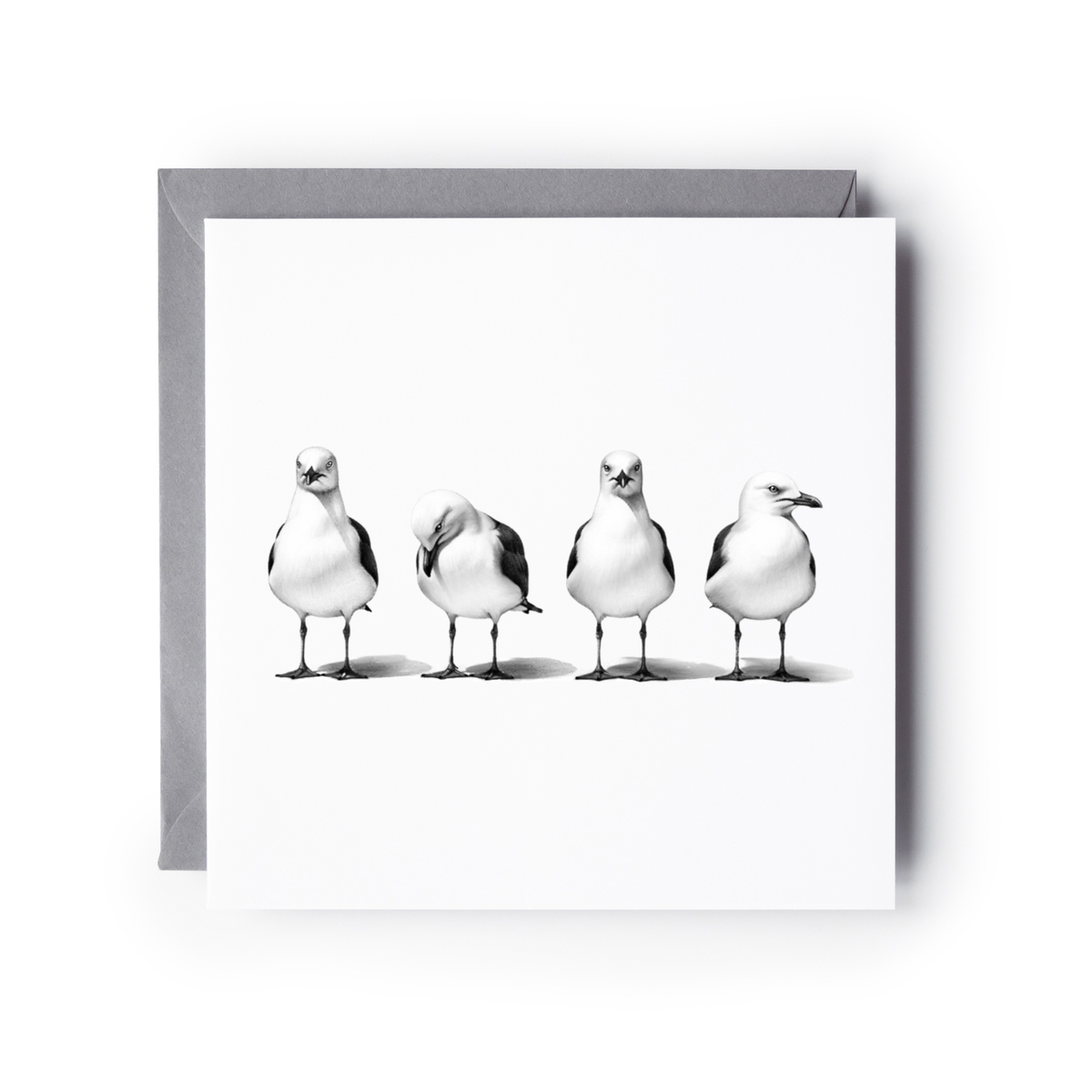 Four Seagulls Row Seaside Greeting Card