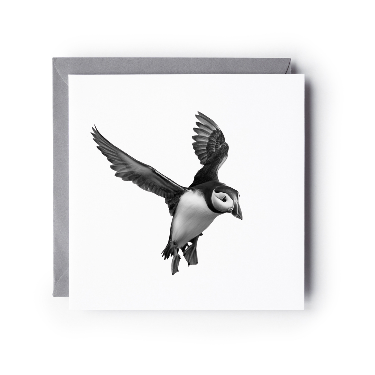 Landing Puffin  – Coastal Greeting Card