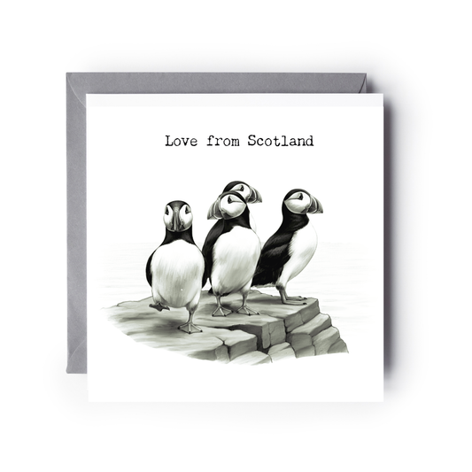 Love From Scotland Puffin Rock Greeting Card