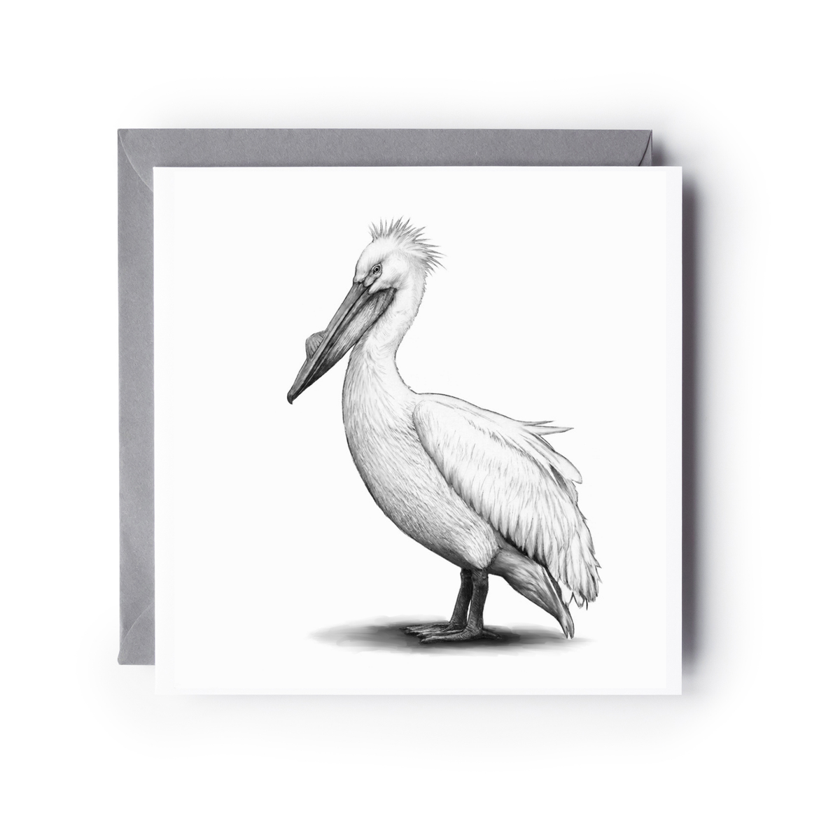 Pelican Bird Greeting Card