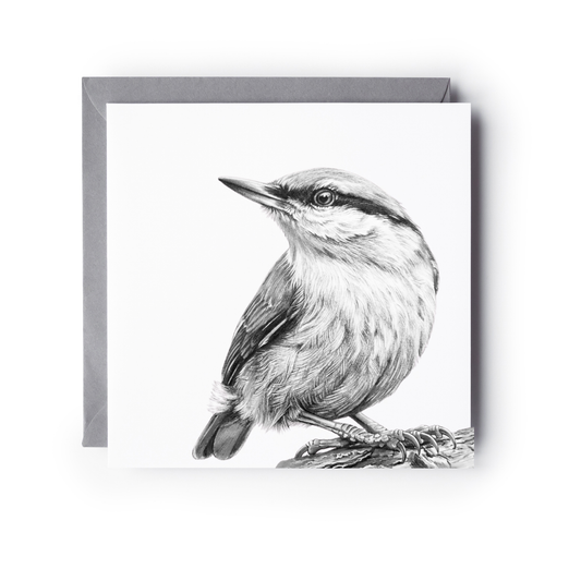 Nuthatch Bird Greeting Card
