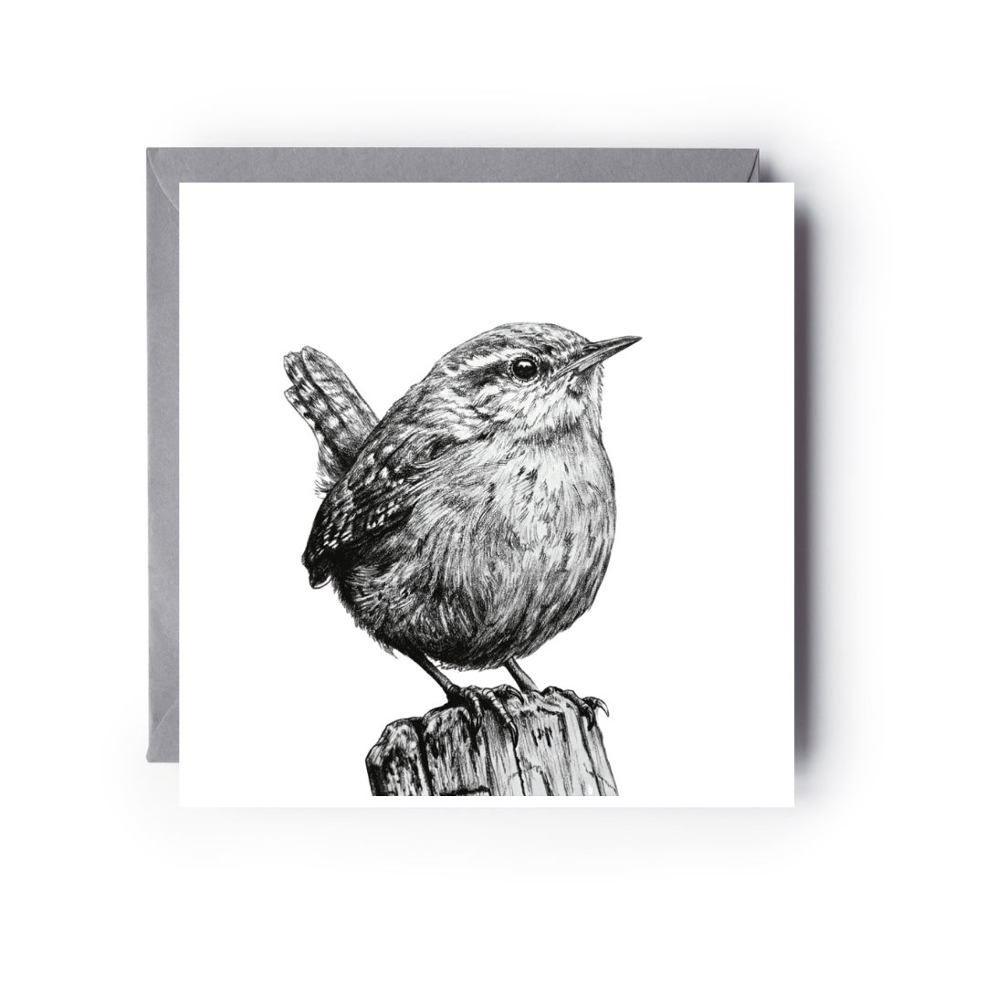 Wren Bird Greeting Card