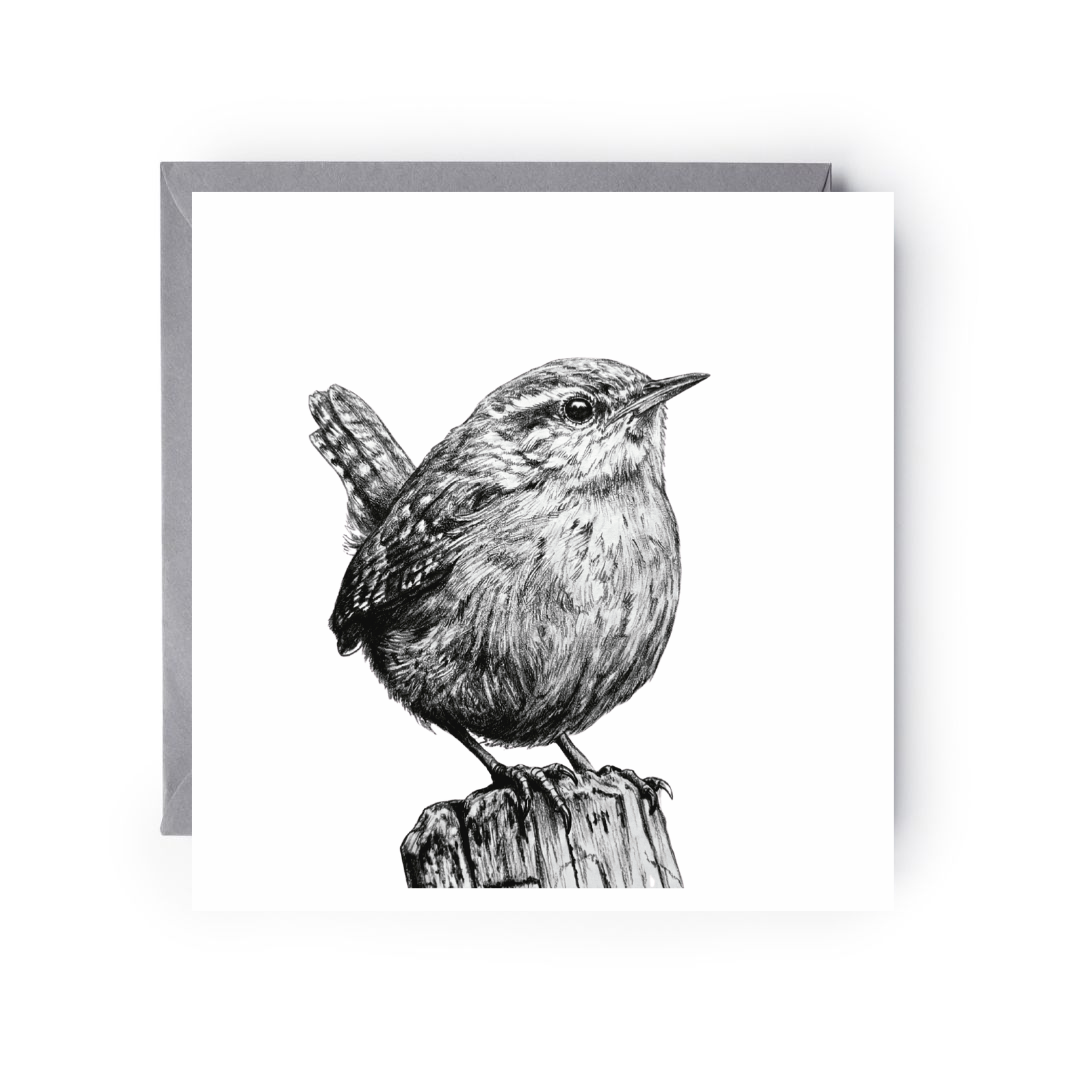 Wren – Hand-Drawn Greeting Card | Charming Wildlife & Garden Art