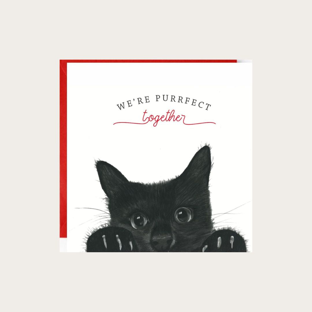Celebrate your special bond with this adorable 'We’re Purrfect Together' cat greeting card, featuring a charming hand-drawn illustration. Perfect for anniversaries, Valentine’s Day, or just because, this card is ideal for cat lovers and couples alike.