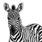 Zebra Portrait Fine Art Print – original artwork