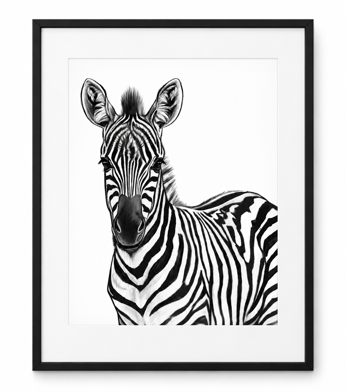 Zebra Portrait Fine Art Print – Black frame with white mount