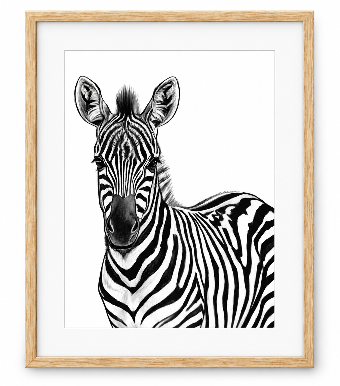 Zebra Portrait Fine Art Print – Oak frame with white mount