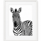 Zebra Portrait Fine Art Print – White frame with white mount