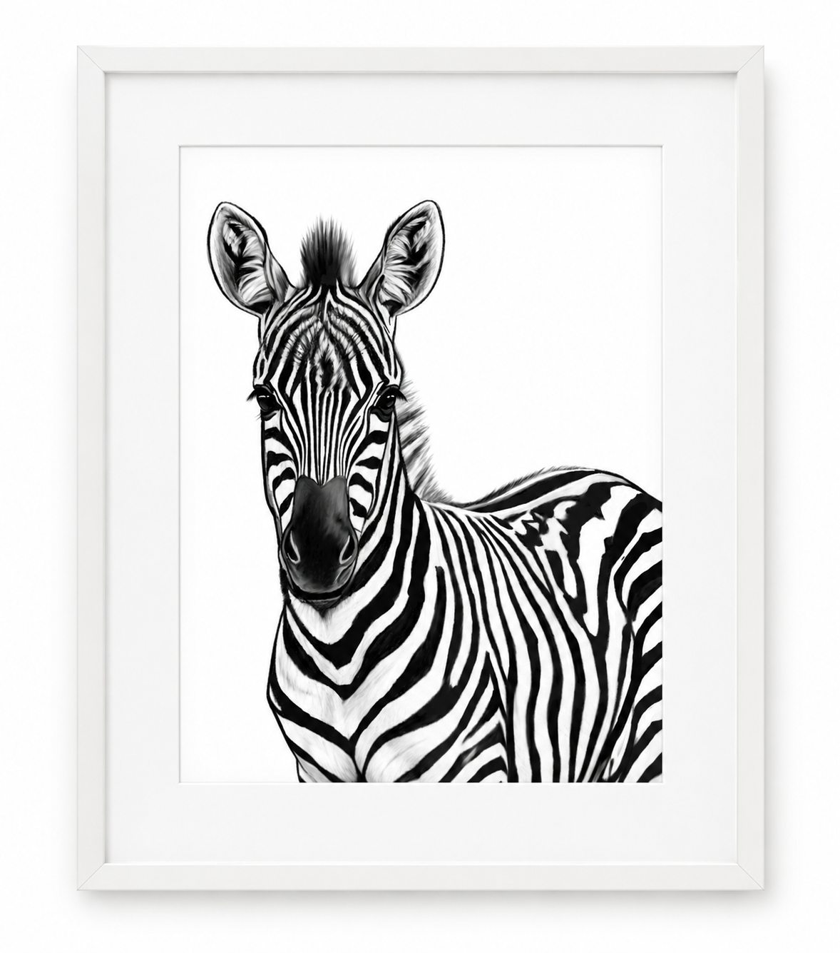 Zebra Portrait Fine Art Print – White frame with white mount