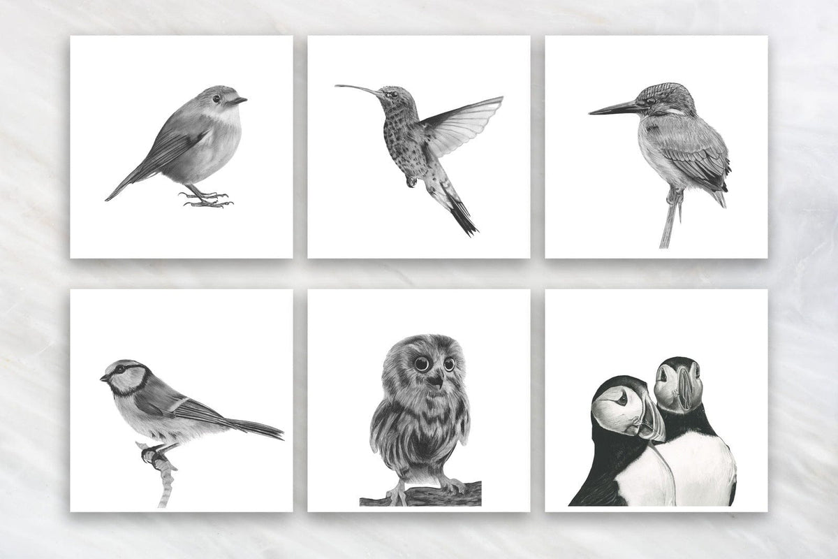 Bird Greeting Card Bundle and Embossed Envelopes
