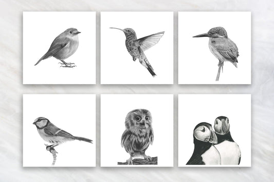 Bird Greeting Card Bundle and Embossed Envelopes