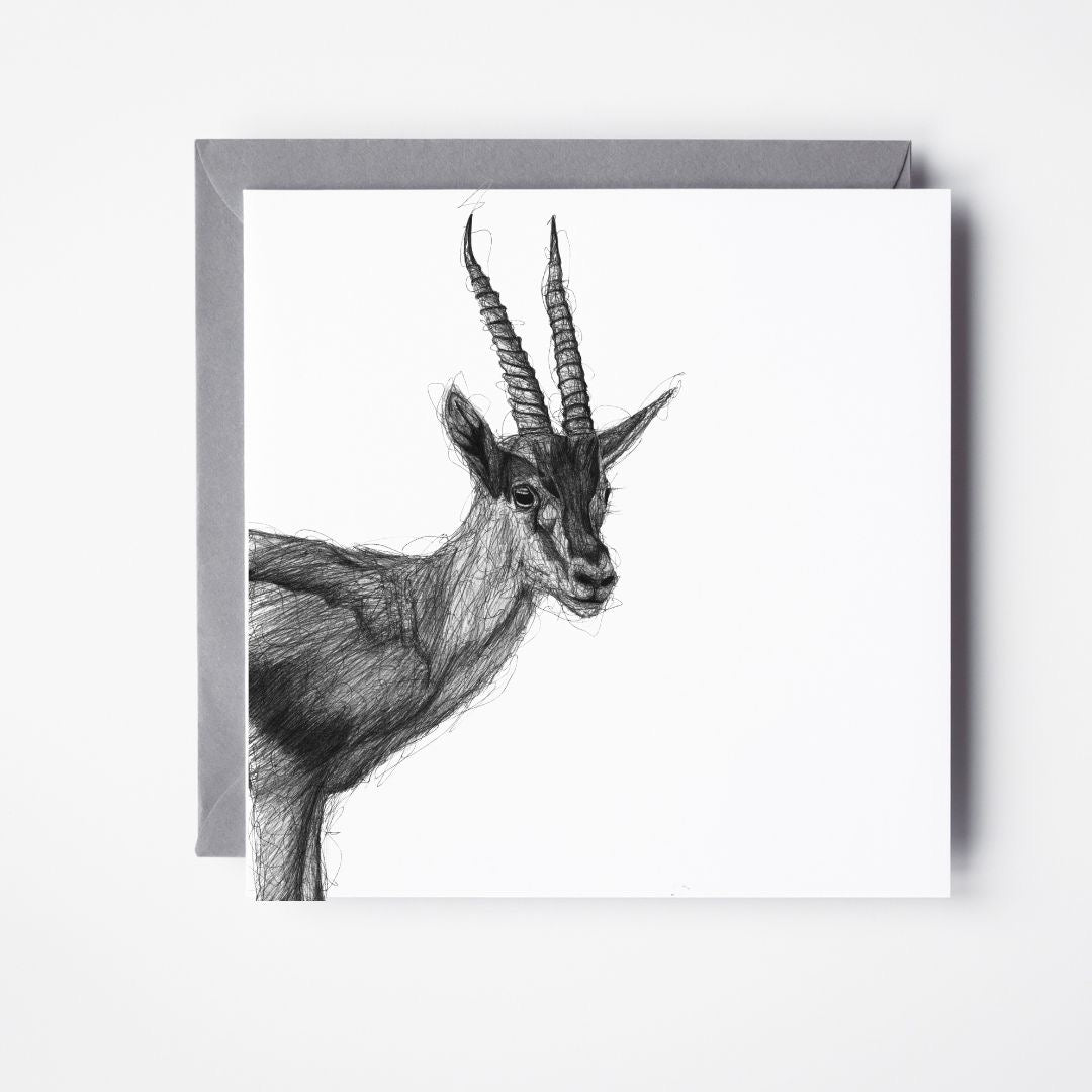 The Antelope Greeting Card