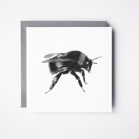 White-tailed Bumble bee Greeting Card