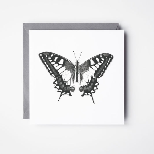 A Hand Drawn Butterfly Greeting Card From Libra Fine Arts