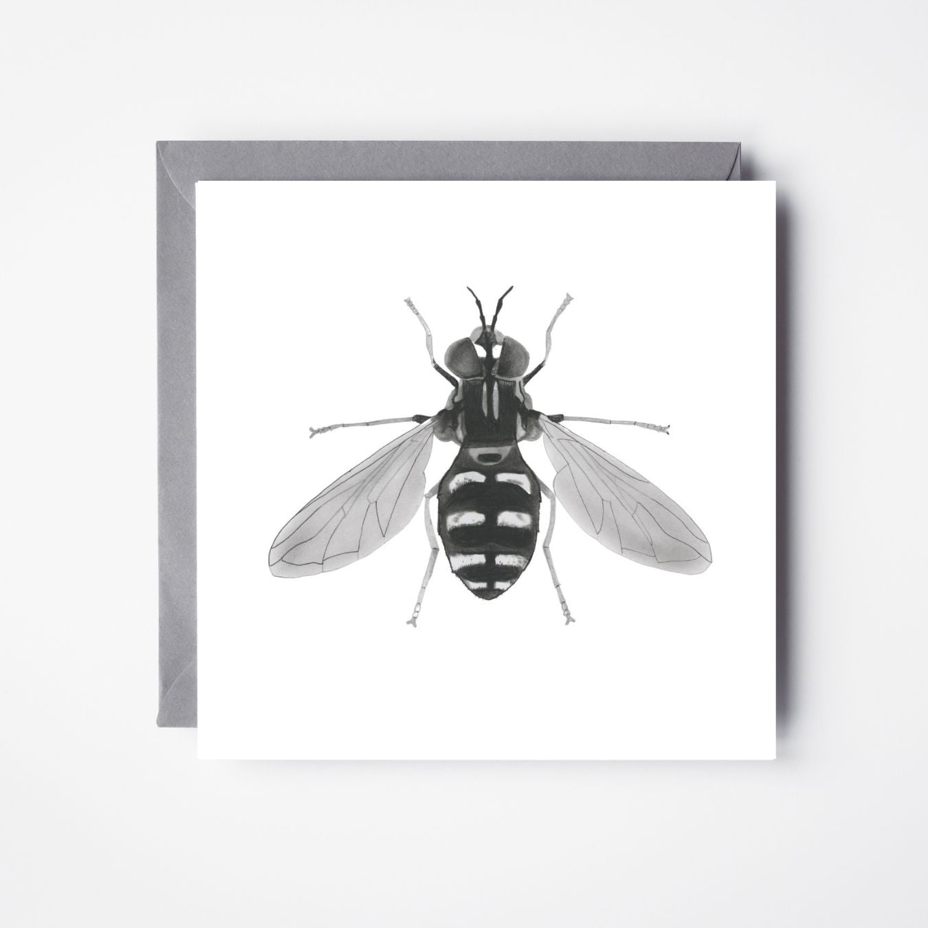 A Hand Drawn Hover fly Greeting Card From Libra Fine Arts