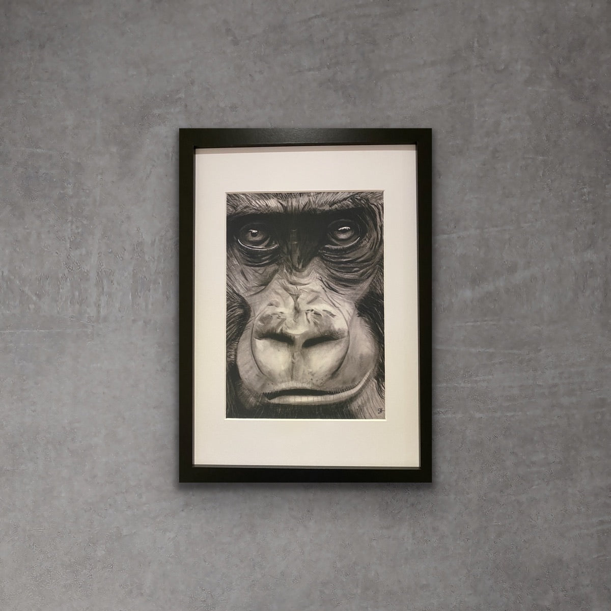 The Mountain Gorilla Giclée Fine Art Print From Libra Fine Arts