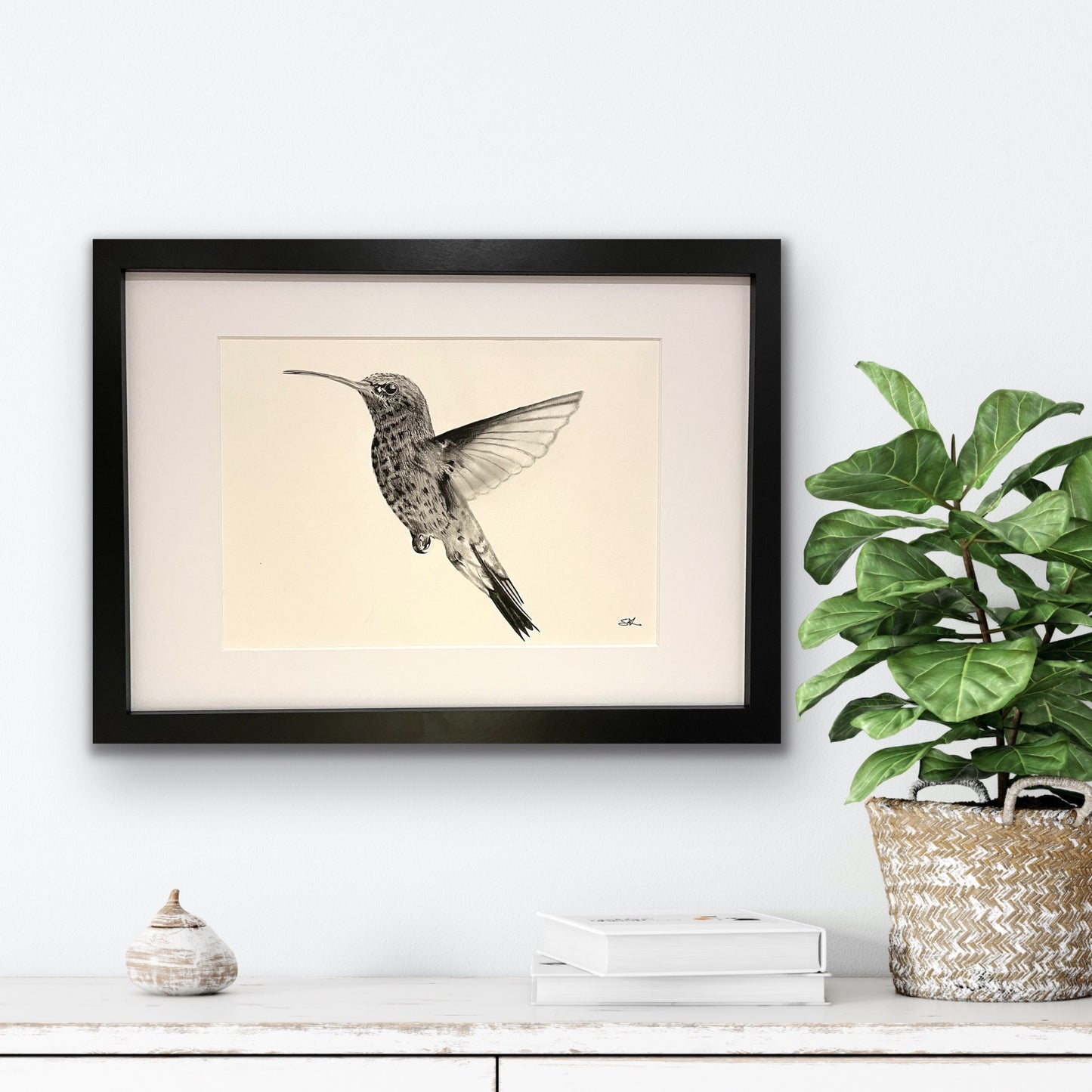 Adhara the Hummingbird Hand Drawn Print