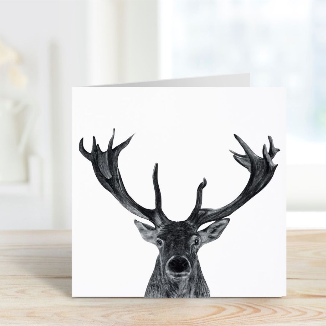 A Hand Drawn Stag Greeting Card From Libra Fine Arts