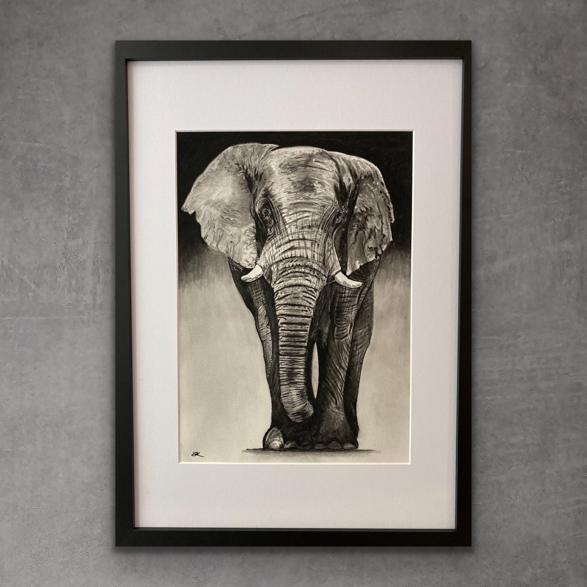 The Majestic Elephant Framed Print - Libra Fine Arts – LIBRA FINE ARTS