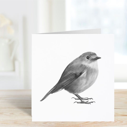 A Hand Drawn Atlas the Robin Greeting Card From Libra Fine Arts