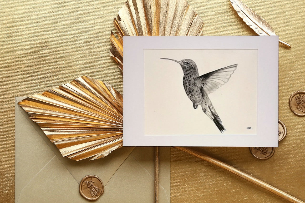 Adhara the Hummingbird Hand Drawn Print