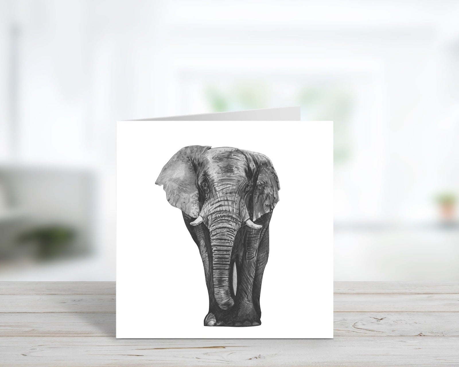 A Hand Drawn Elephant Greeting Card From Libra Fine Arts