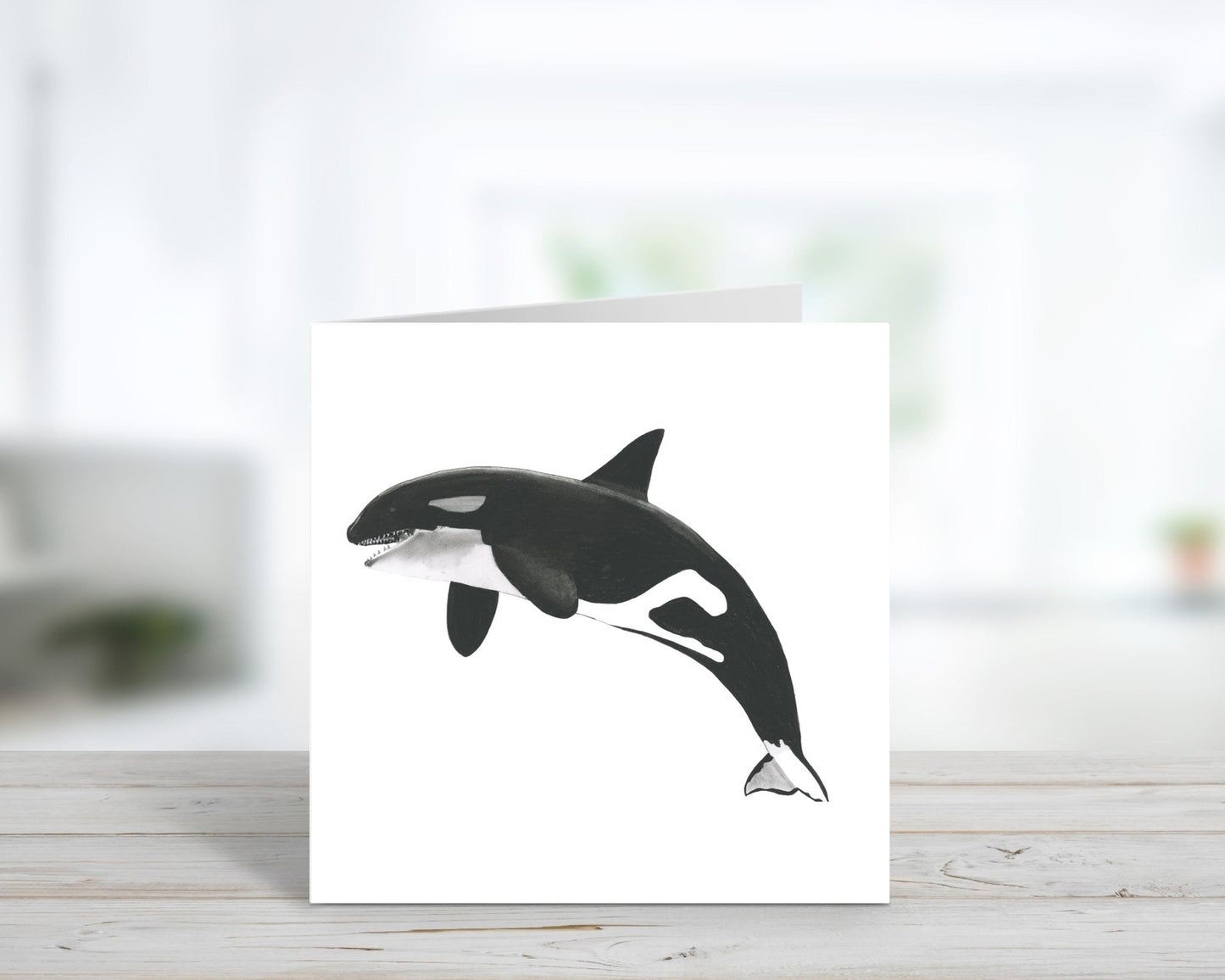 A Hand Drawn Orca Greeting Card From Libra Fine Arts