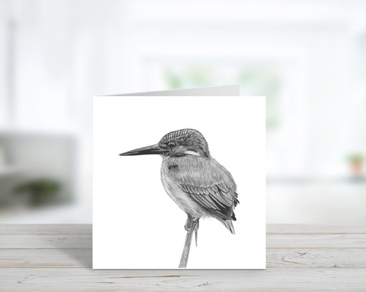 A Hand Drawn Kingfisher Greeting Card from Libra Fine Arts