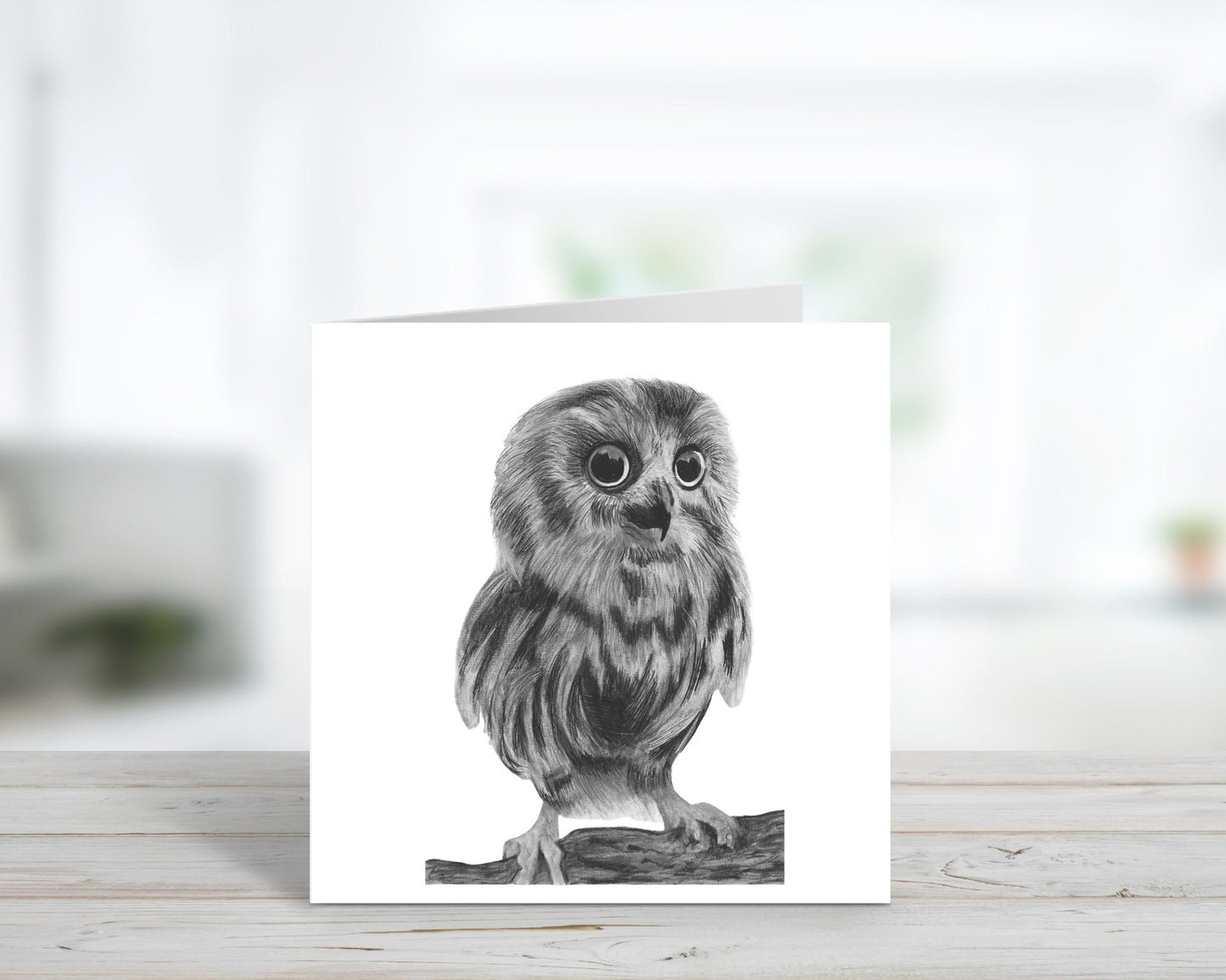 A Hand Drawn Owl Greeting Card From Libra Fine Arts  