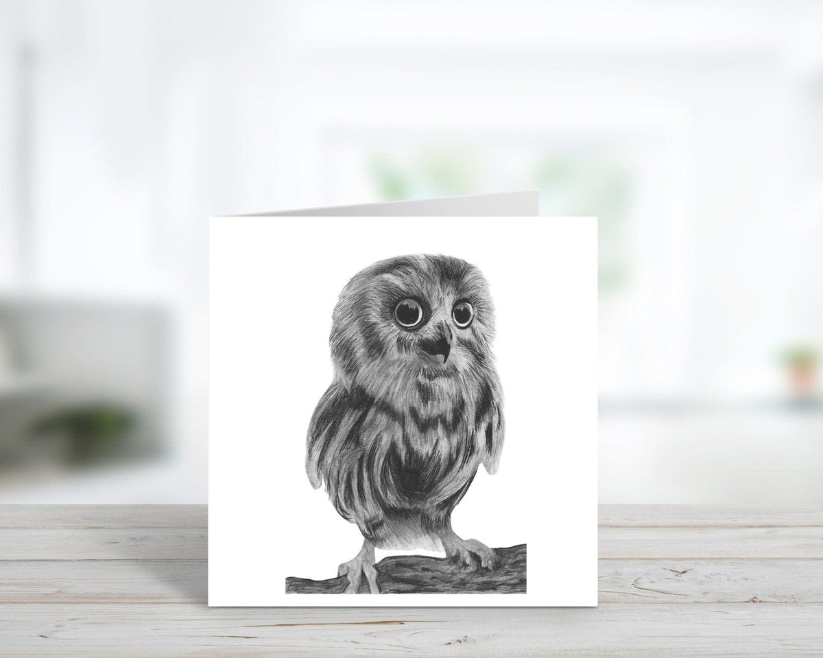 Bird Greeting Card Bundle and Embossed Envelopes