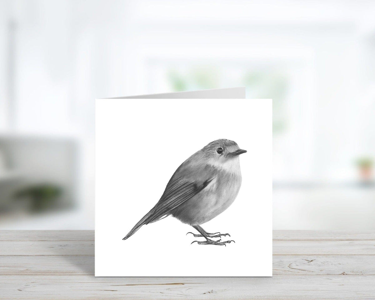 Bird Greeting Card Bundle and Embossed Envelopes