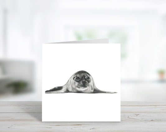 A Hand Drawn Hummingbird Seal Greeting Card From Libra Fine Arts