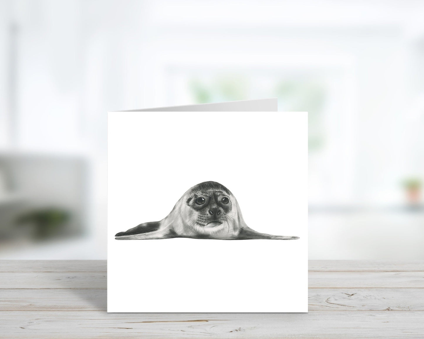 Sealife Greeting Card Bundle