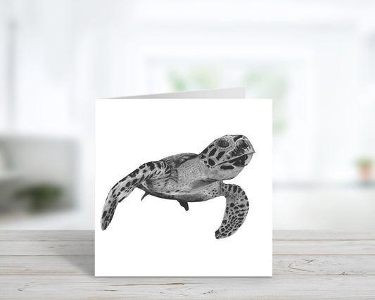 A Hand Drawn Turtle Greeting Card From Libra Fine Arts