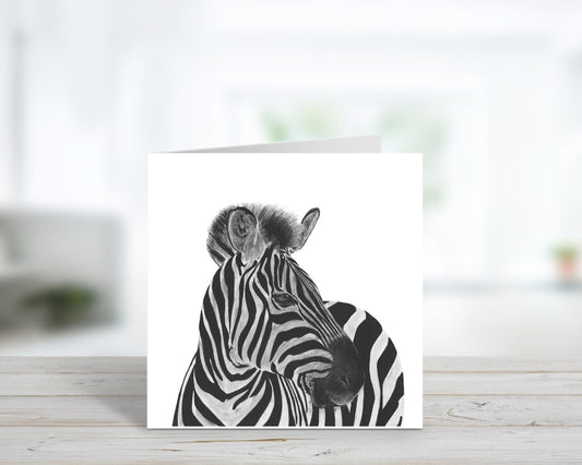 A Hand Drawn Zebra Greeting Card From Libra Fine Arts